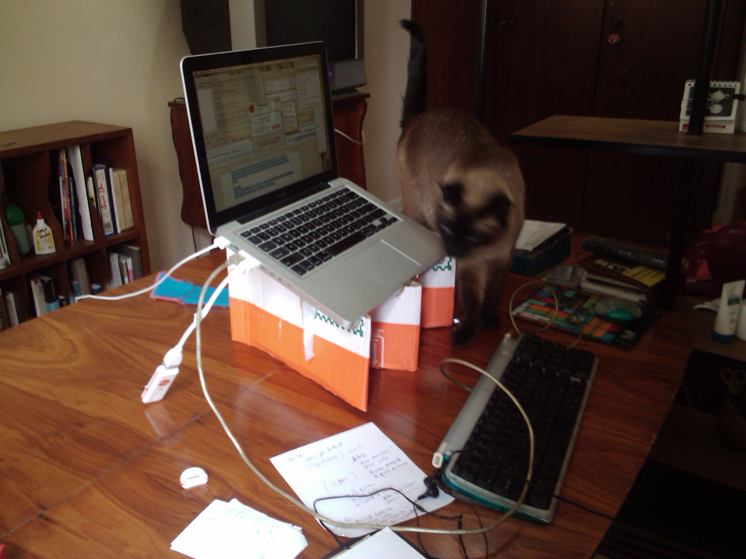 Picking A Side Hustle That Matches Your Energy Budget